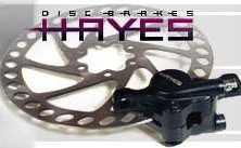 Hayes