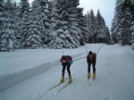 skilanglauf