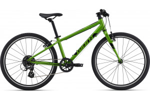 Bild zu Giant ARX 24 metallic green