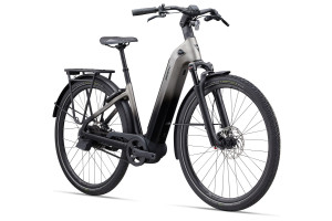 Bild zu Giant AnyTour E+ 0 25km/h M Space Grey