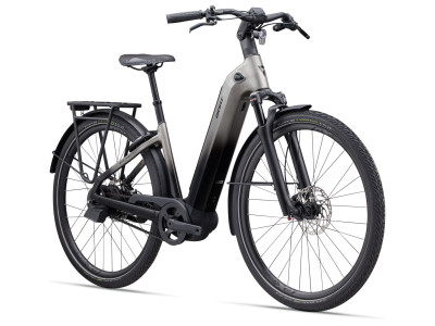 Bild zu Giant AnyTour E+ 0 25km/h M Space Grey