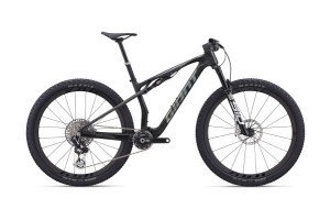 Bild zu Giant Anthem Adv. SL 0 Raw Carbon XL