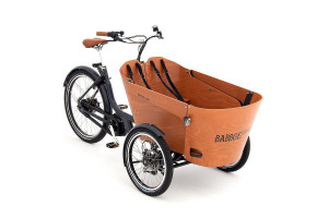 Bild zu Babboe Carve Mountain G-ENV Holz 500Wh