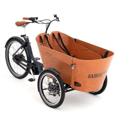 Bild zu Babboe Carve Mountain G-ENV Holz 500Wh